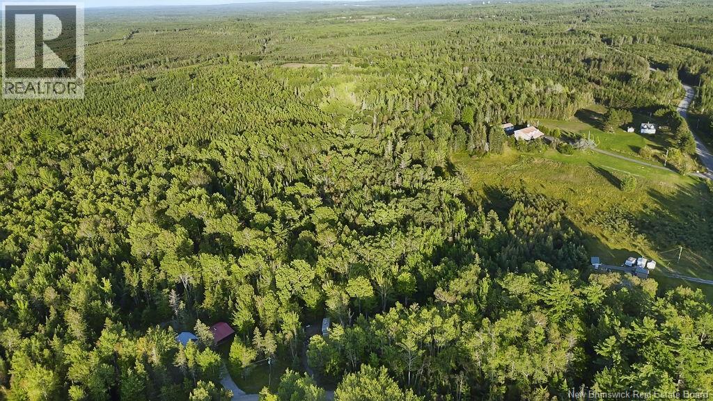 12 Thorne Brook Road, Havelock, New Brunswick  E4Z 0G2 - Photo 15 - NB147126