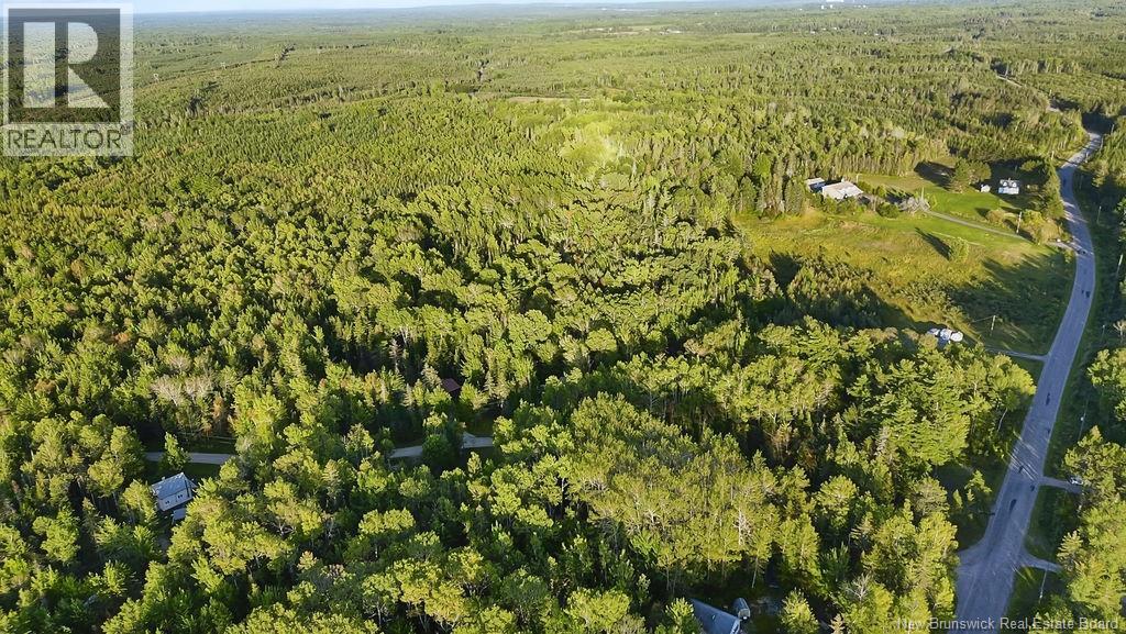 12 Thorne Brook Road, Havelock, New Brunswick  E4Z 0G2 - Photo 16 - NB147126