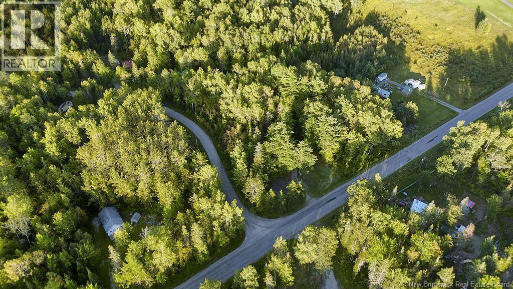 12 Thorne Brook Road, Havelock, New Brunswick  E4Z 0G2 - Photo 17 - NB147126