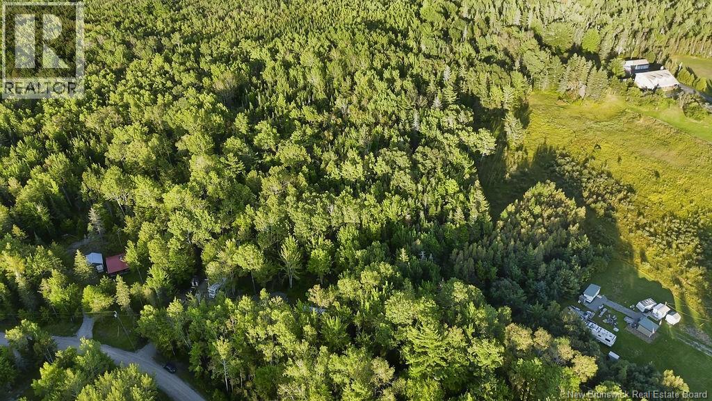 12 Thorne Brook Road, Havelock, New Brunswick  E4Z 0G2 - Photo 18 - NB147126