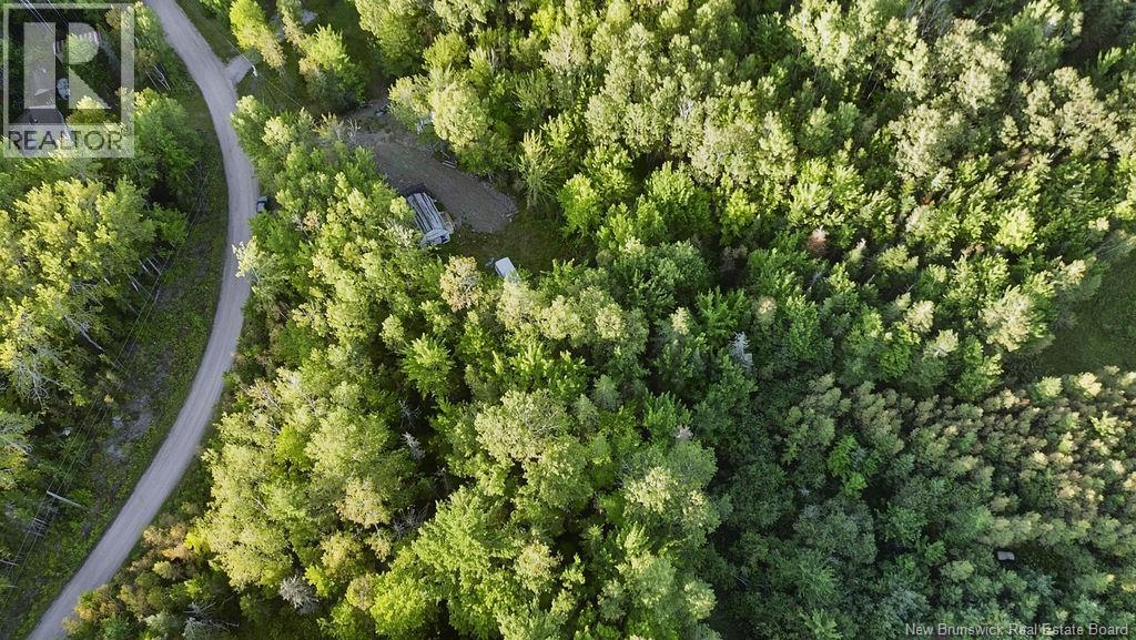 12 Thorne Brook Road, Havelock, New Brunswick  E4Z 0G2 - Photo 20 - NB147126