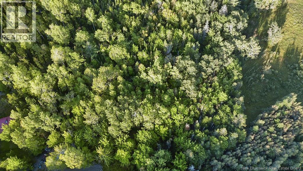 12 Thorne Brook Road, Havelock, New Brunswick  E4Z 0G2 - Photo 21 - NB147126