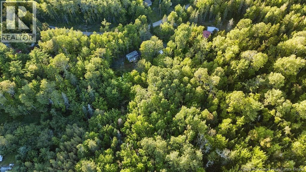 12 Thorne Brook Road, Havelock, New Brunswick  E4Z 0G2 - Photo 23 - NB147126