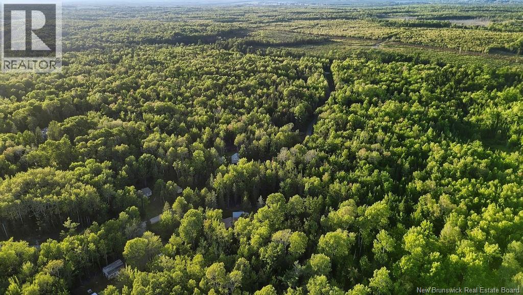 12 Thorne Brook Road, Havelock, New Brunswick  E4Z 0G2 - Photo 24 - NB147126
