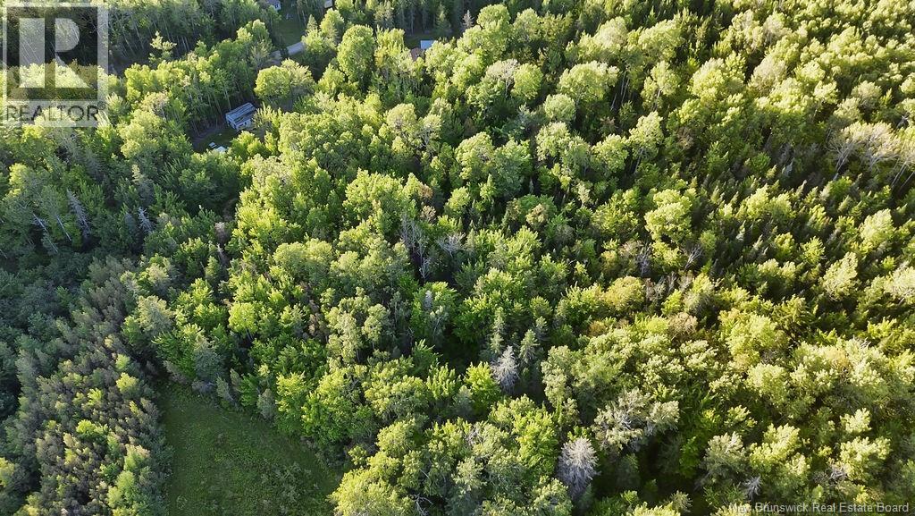 12 Thorne Brook Road, Havelock, New Brunswick  E4Z 0G2 - Photo 25 - NB147126