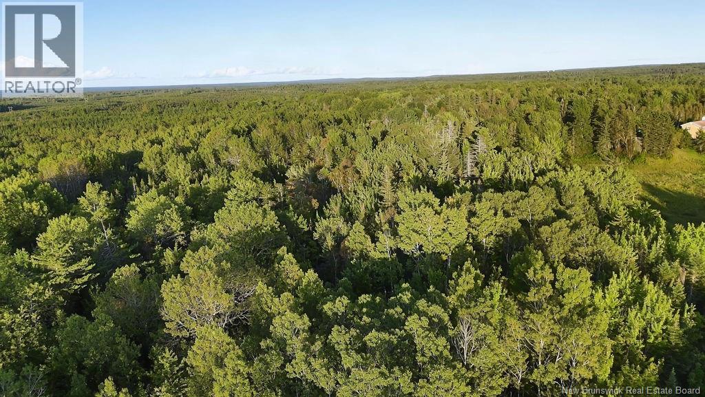 12 Thorne Brook Road, Havelock, New Brunswick  E4Z 0G2 - Photo 29 - NB147126