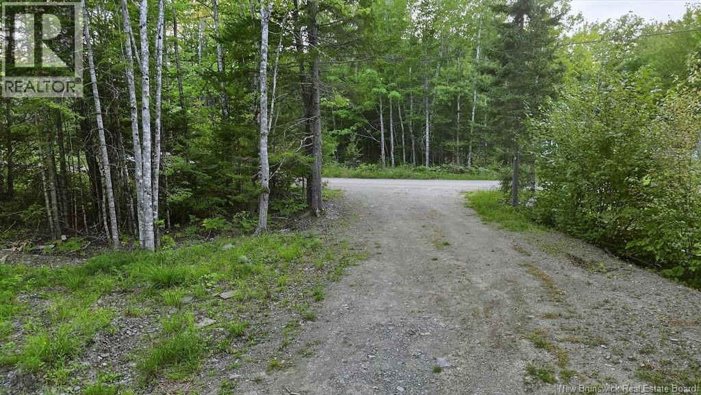 12 Thorne Brook Road, Havelock, New Brunswick  E4Z 0G2 - Photo 6 - NB147126