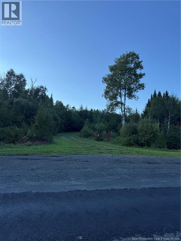 2223 Rte 385, Two Brooks, New Brunswick  E7G 3K7 - Photo 11 - NB147071