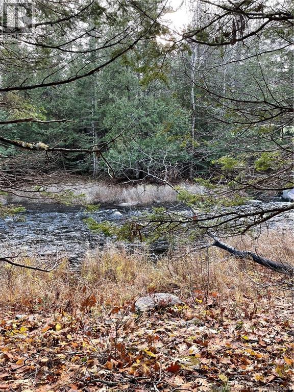 519 Route 725, Little Ridge, New Brunswick  E3L 5N8 - Photo 1 - NB147300