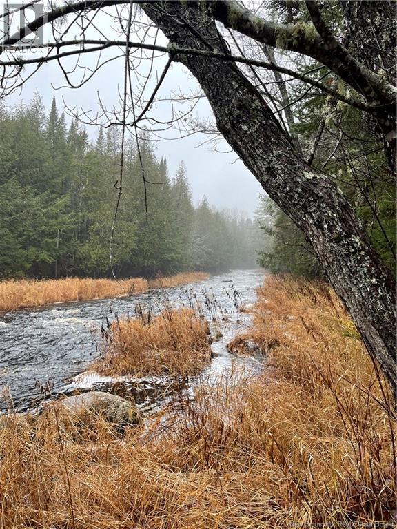 519 Route 725, Little Ridge, New Brunswick  E3L 5N8 - Photo 2 - NB147300