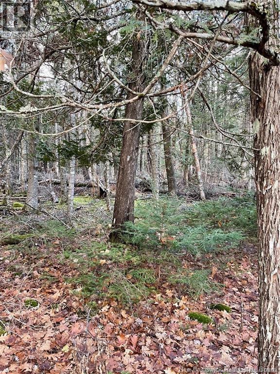 519 Route 725, Little Ridge, New Brunswick  E3L 5N8 - Photo 3 - NB147300