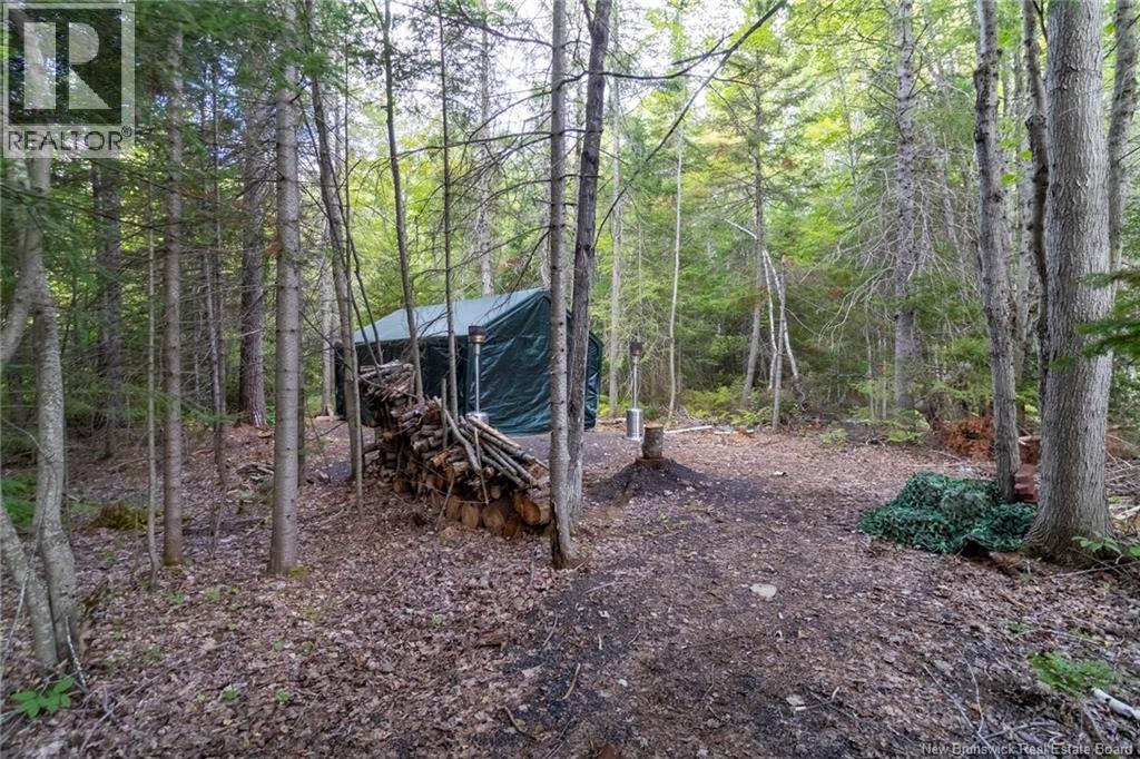 700 Main Street, Chipman, New Brunswick  E4A 2R5 - Photo 44 - NB147262