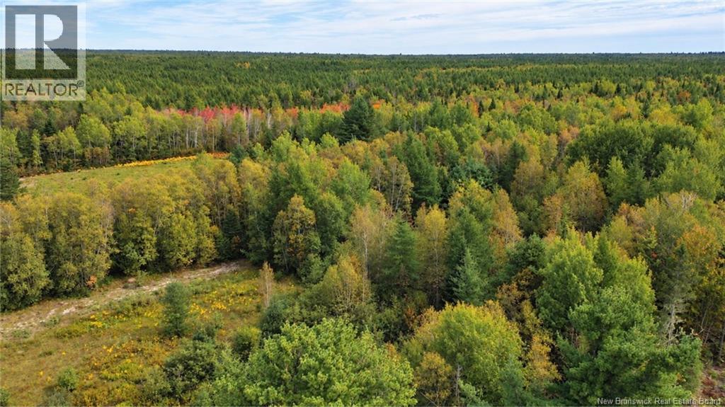 LOT Weldfield-Collette Road, Napan, New Brunswick