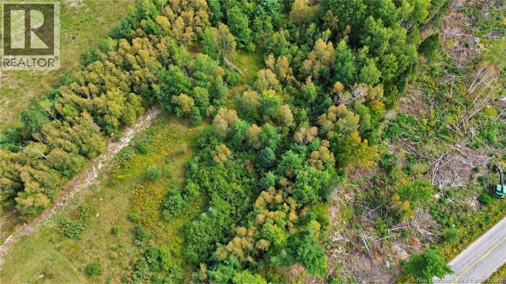 Lot Weldfield-Collette Road, Napan, New Brunswick  E1N 5H1 - Photo 2 - NB147316