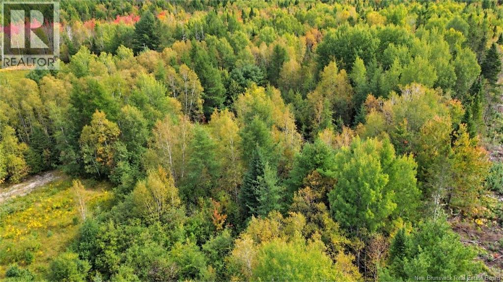 Lot Weldfield-Collette Road, Napan, New Brunswick  E1N 5H1 - Photo 3 - NB147316