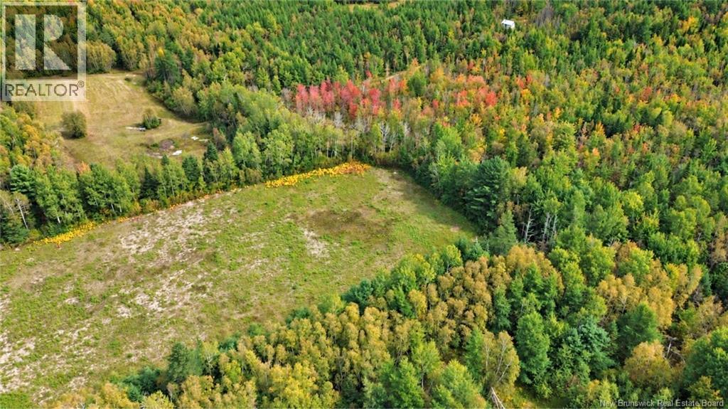 Lot Weldfield-Collette Road, Napan, New Brunswick  E1N 5H1 - Photo 4 - NB147316