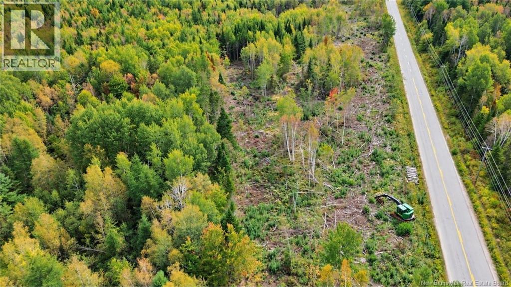Lot Weldfield-Collette Road, Napan, New Brunswick  E1N 5H1 - Photo 5 - NB147316
