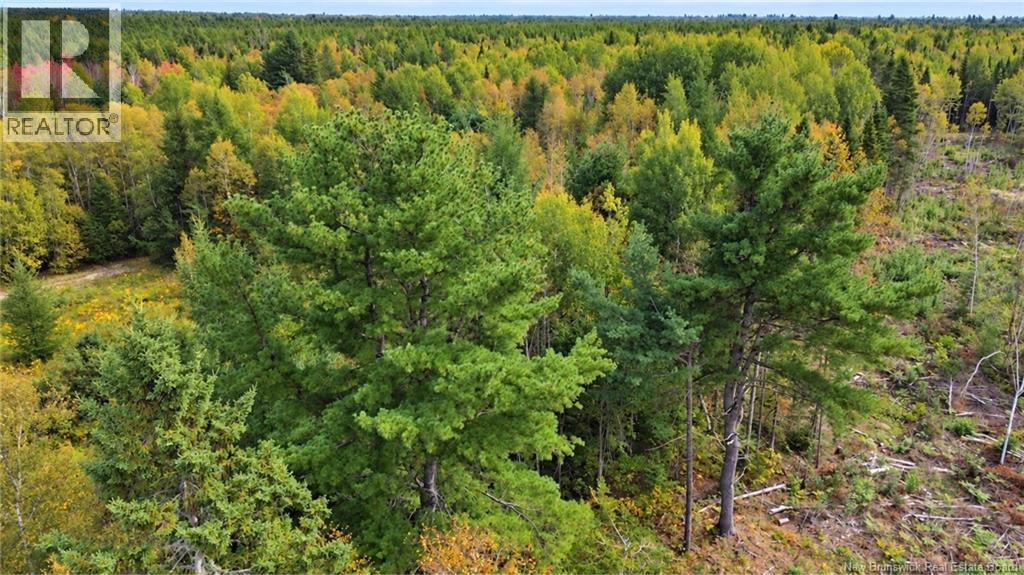 Lot Weldfield-Collette Road, Napan, New Brunswick  E1N 5H1 - Photo 6 - NB147316