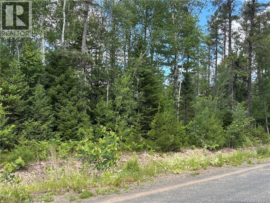 47.15 Acres Chemin Liboire Basque, Petit-Tracadie, New Brunswick  E1X 3H5 - Photo 11 - NB147362