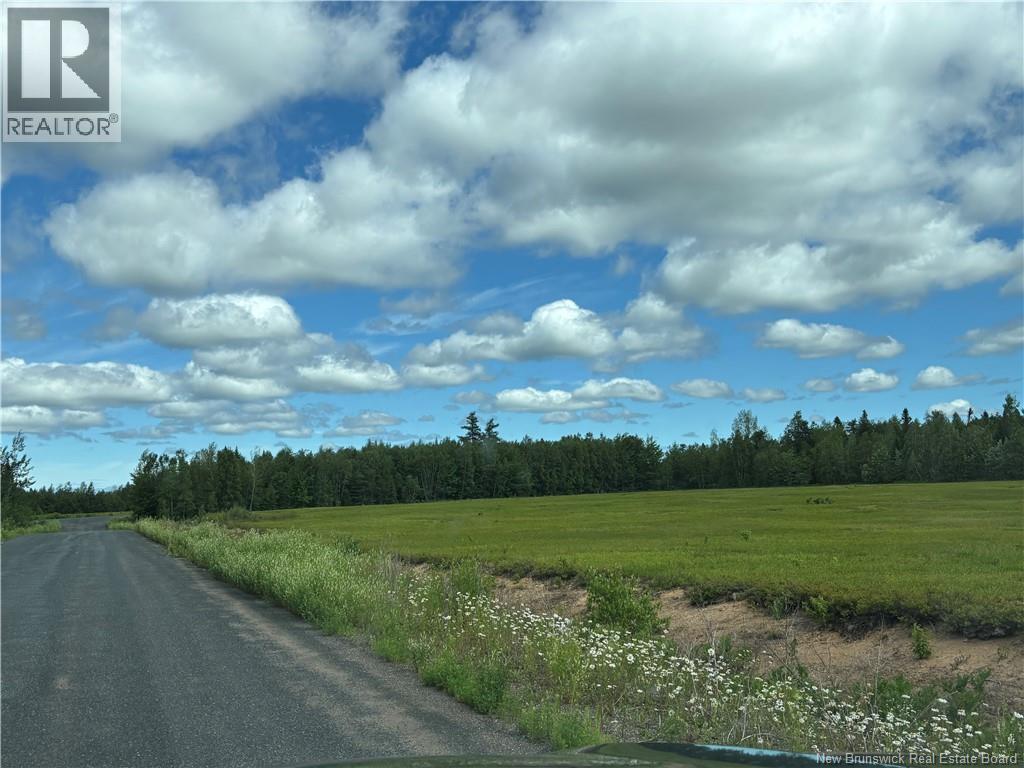 47.15 Acres Chemin Liboire Basque, Petit-Tracadie, New Brunswick  E1X 3H5 - Photo 12 - NB147362
