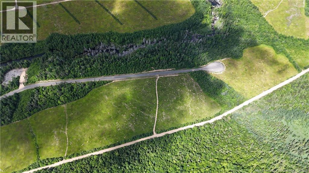 47.15 Acres Chemin Liboire Basque, Petit-Tracadie, New Brunswick  E1X 3H5 - Photo 6 - NB147362
