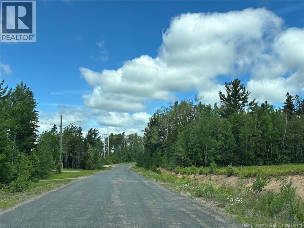 47.15 Acres Chemin Liboire Basque, Petit-Tracadie, New Brunswick  E1X 3H5 - Photo 9 - NB147362