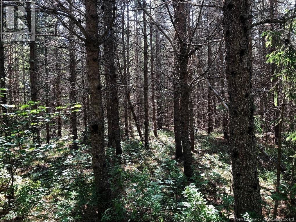 Lot 26-8 Route 495, Saint-Fabien, New Brunswick E4S 1Z1 - Photo 3 - NB147368