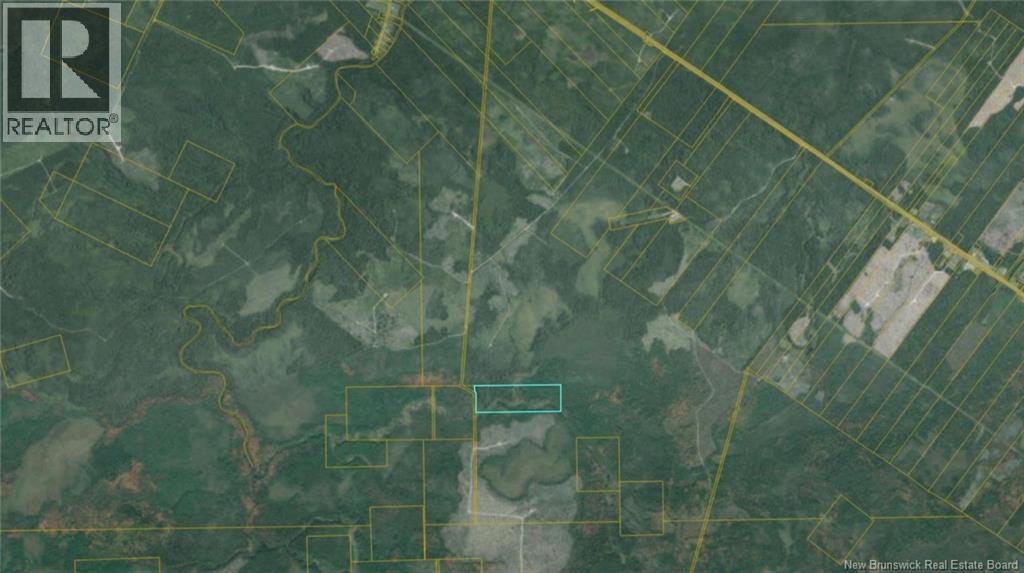 Lot Route 11, Redmondville, New Brunswick E1N 5T6 - Photo 1 - NB147452