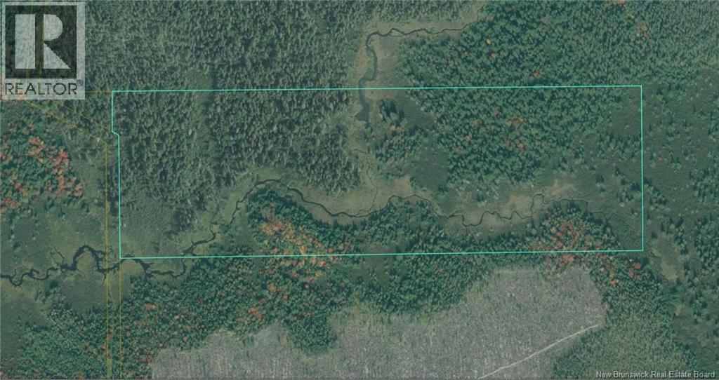 Lot Route 11, Redmondville, New Brunswick E1N 5T6 - Photo 2 - NB147452