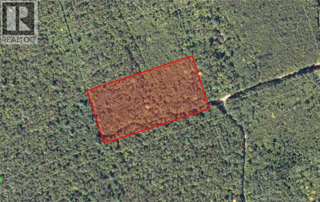 Recreational Lot 2 Green Road, Elgin, New Brunswick  E4Z 1T6 - Photo 3 - NB147388