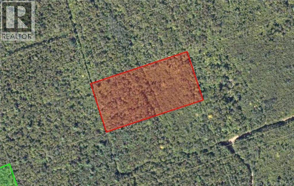 Recreational Lot 1 Green Road, Elgin, New Brunswick  E4Z 1T6 - Photo 3 - NB147386