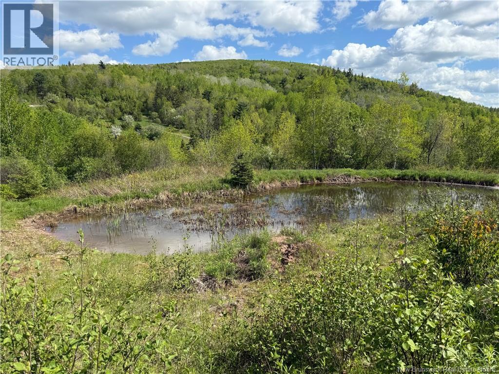 236 Mill Brook Road, Mill Brook, New Brunswick  E4E 3V8 - Photo 21 - NB146872