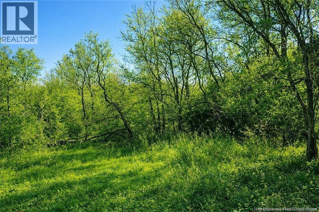 10001 105 Route, Beechwood, New Brunswick  E7J 1V3 - Photo 7 - NB147332