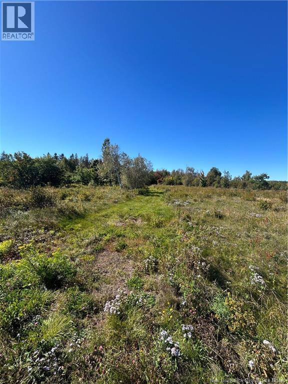 Lot Nowlan, Landry Office, New Brunswick  E8P 2K2 - Photo 3 - NB147505