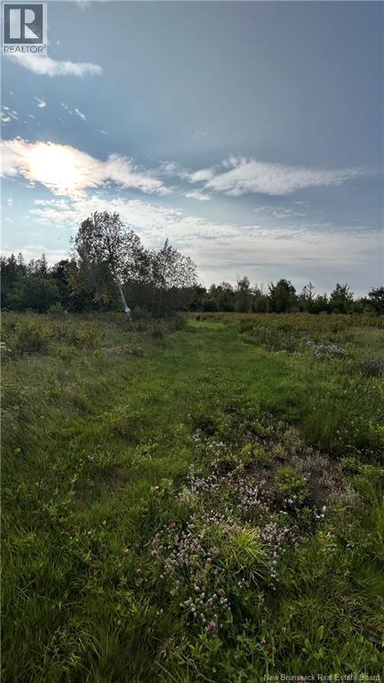 Lot Nowlan, Landry Office, New Brunswick  E8P 2K2 - Photo 5 - NB147505