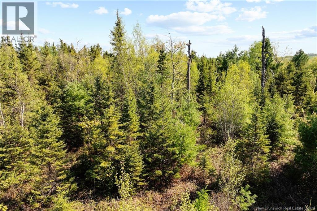 Lot Wegeseum Road, Chipman, New Brunswick  O0O 0O0 - Photo 10 - NB147504