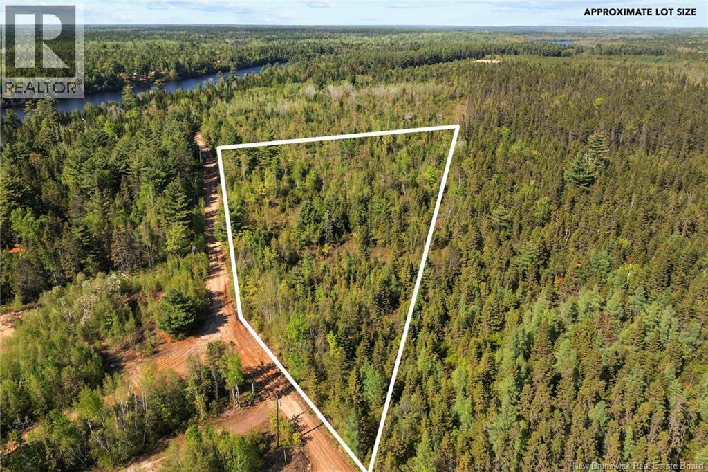Lot Wegeseum Road, Chipman, New Brunswick  O0O 0O0 - Photo 2 - NB147504