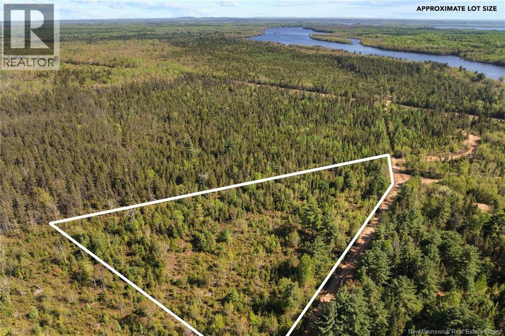 Lot Wegeseum Road, Chipman, New Brunswick  O0O 0O0 - Photo 5 - NB147504