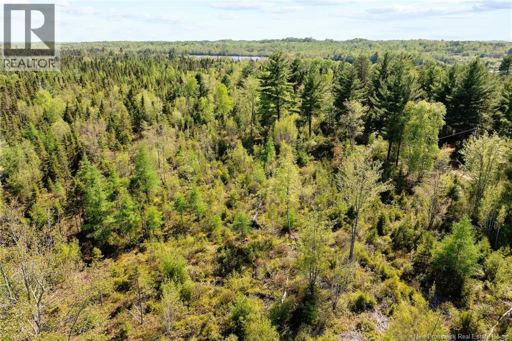 Lot Wegeseum Road, Chipman, New Brunswick  O0O 0O0 - Photo 7 - NB147504