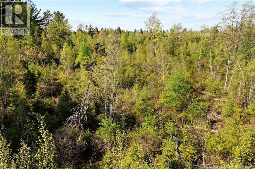 Lot Wegeseum Road, Chipman, New Brunswick  O0O 0O0 - Photo 8 - NB147504