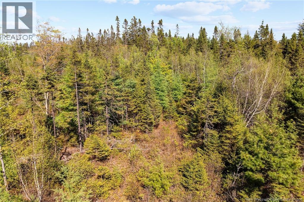 Lot Wegeseum Road, Chipman, New Brunswick  O0O 0O0 - Photo 9 - NB147504