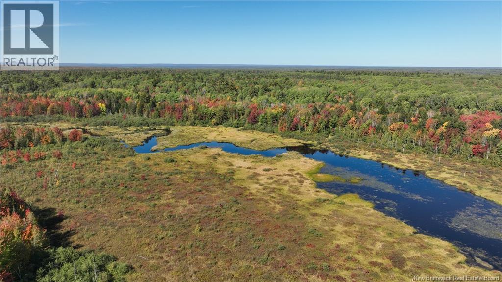 395 Brophy Road, Arbeau Settlement, New Brunswick  E9B 1P8 - Photo 12 - NB147539