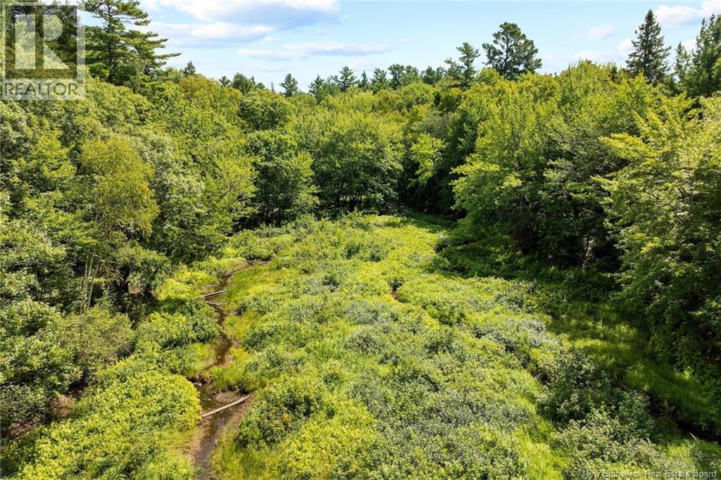 Lot 99-3 Wegesegum Road, Chipman, New Brunswick  O0O 0O0 - Photo 10 - NB147538