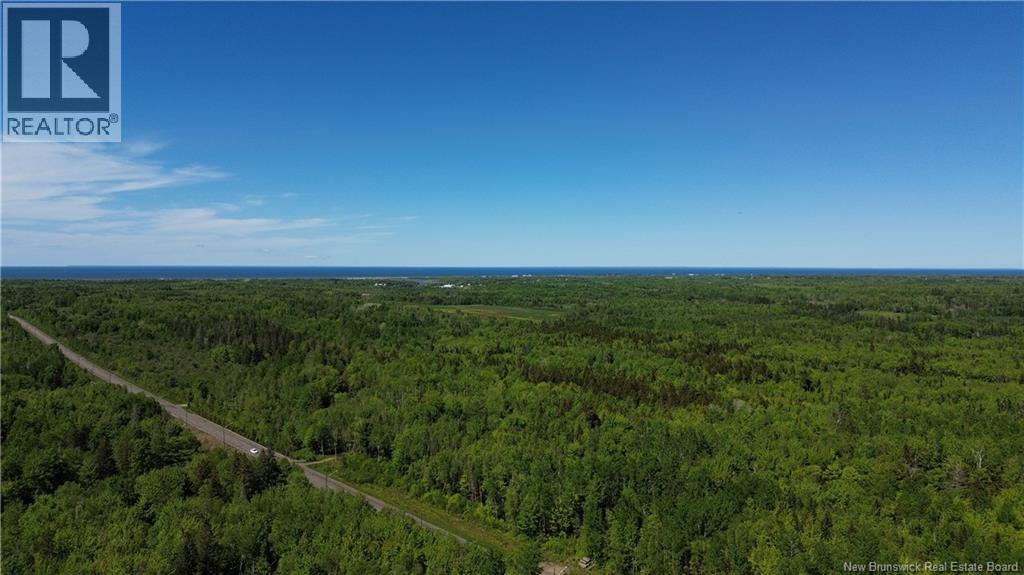 Lot 22-01 Thibodeau Road, Saint-Andre-Leblanc, New Brunswick  E4P 6G2 - Photo 4 - NB147462