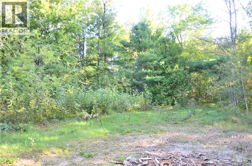 137 Harvey Road, Mcadam, New Brunswick E6J 1A1 - Photo 28 - NB147488