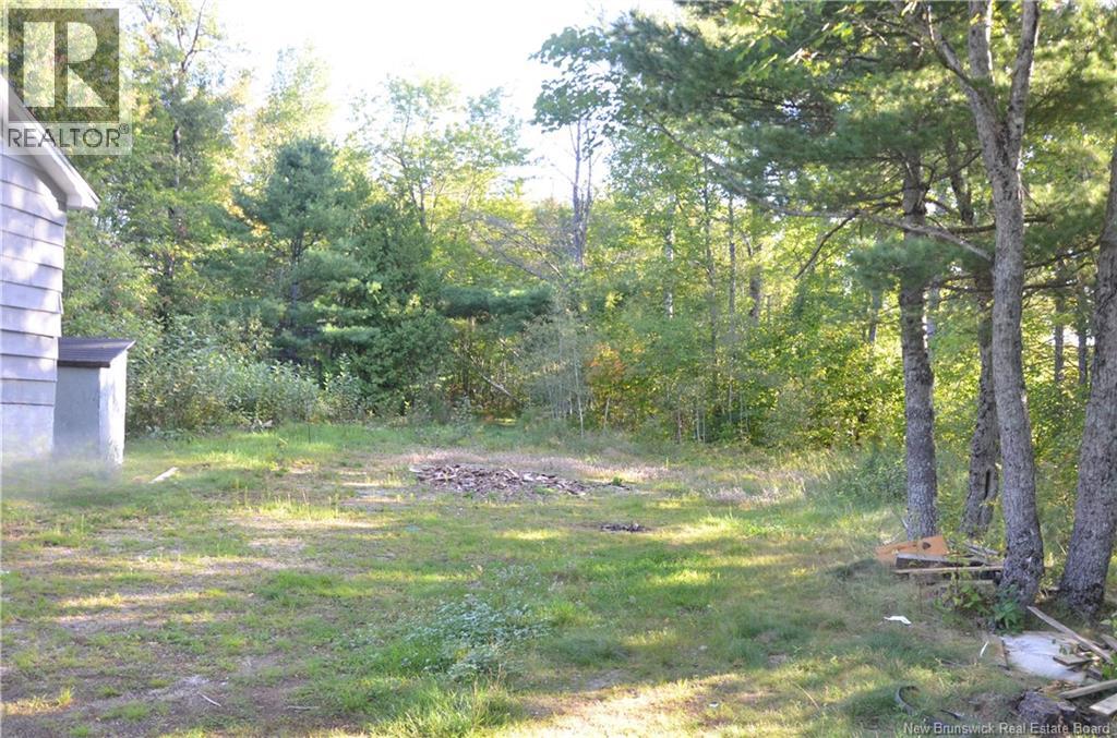 137 Harvey Road, Mcadam, New Brunswick E6J 1A1 - Photo 29 - NB147488