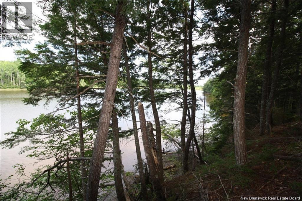 15-60 Bass River Point Road, Bass River, New Brunswick  E4T 1J3 - Photo 2 - NB147658