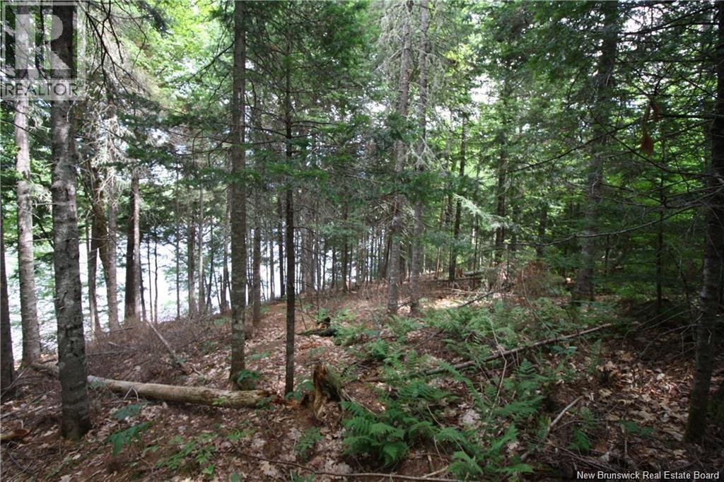 15-60 Bass River Point Road, Bass River, New Brunswick  E4T 1J3 - Photo 3 - NB147658