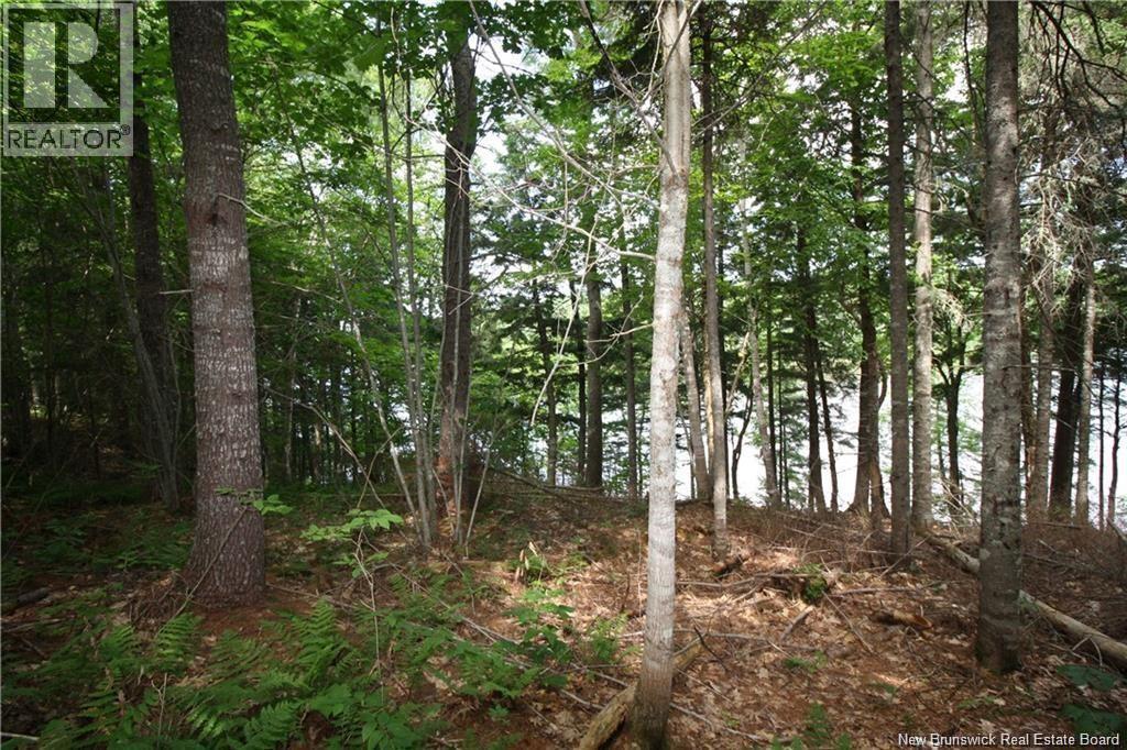 15-60 Bass River Point Road, Bass River, New Brunswick  E4T 1J3 - Photo 4 - NB147658