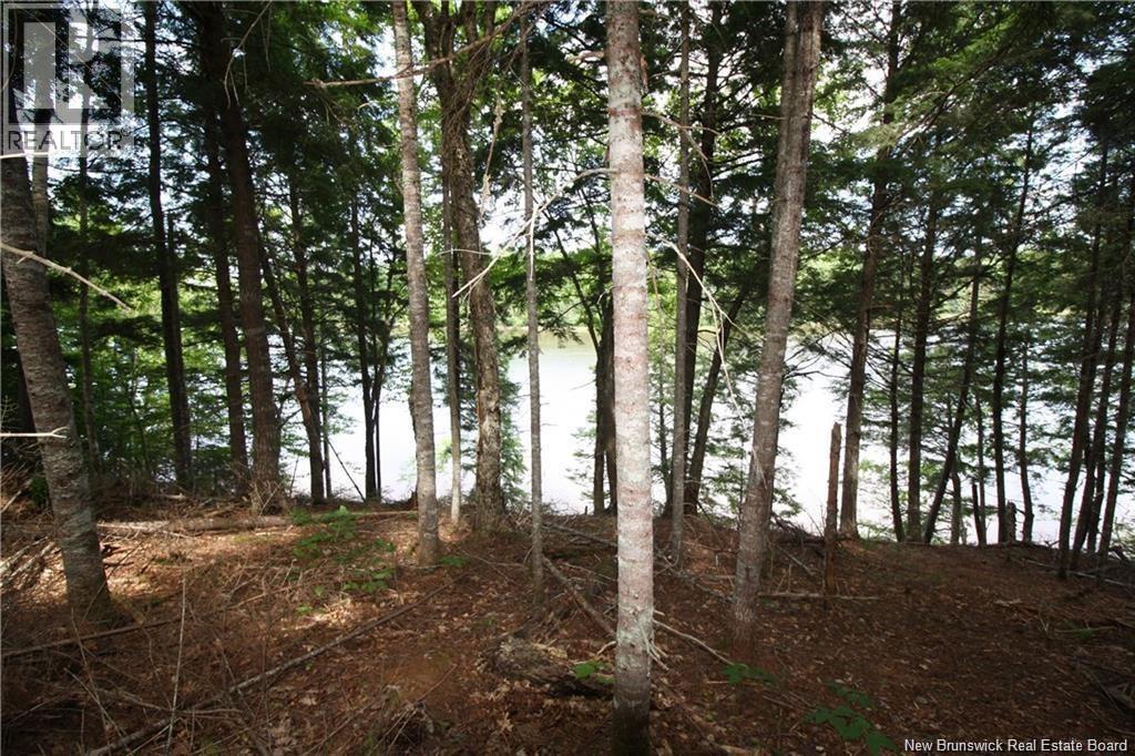 15-60 Bass River Point Road, Bass River, New Brunswick  E4T 1J3 - Photo 5 - NB147658